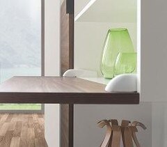 Salice Pacta Fall Flap Door System 250x220.jpg